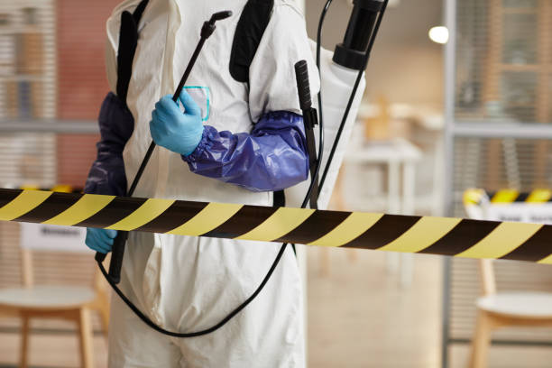 Professional Sewage Cleanup technician working in Westerville, NE